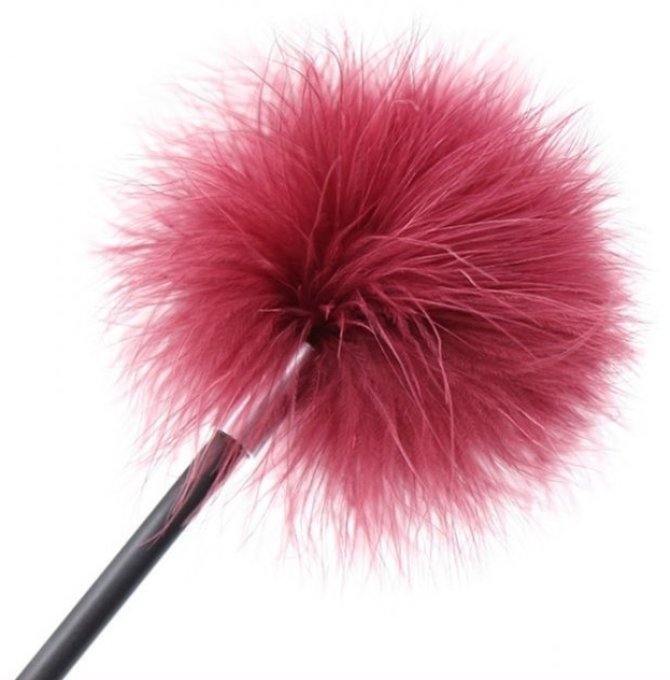Cravache-Plumeau Victoria Pourpre 43cm