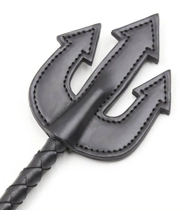 Cravache Trident 65cm Noire