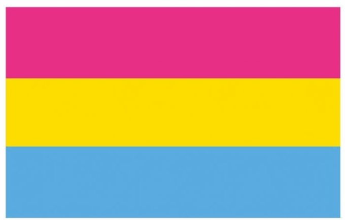 Drapeau Pansexuel 60 x 90cm