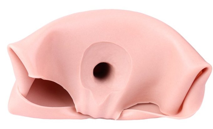 Gode Ceinture Creux Colpix 20 x 6cm