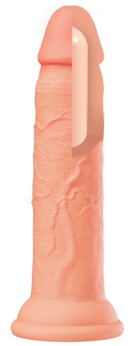 Gode Dickdong Chair S 15 x 3.2cm