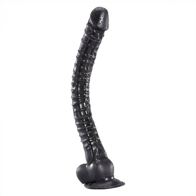 Gode Horse avec ventouse 34 x 3.5 cm