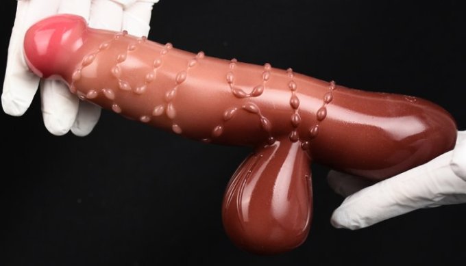 Gode poignée Chanizio 12 x 4.2cm