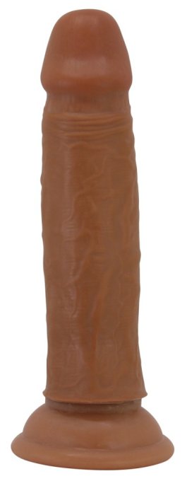 Gode Quentin 15 x 3.8cm Marron