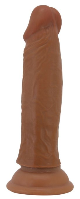 Gode Quentin 15 x 3.8cm Marron