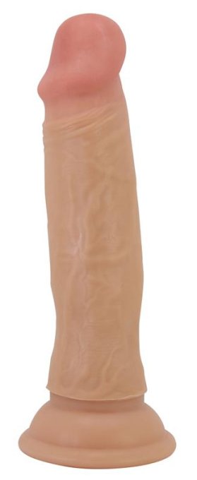 Gode Quentin 15 x 3.8cm