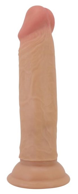 Gode Quentin 15 x 3.8cm