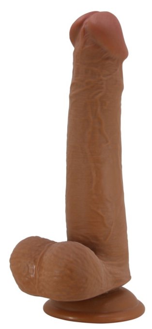 Gode réaliste Tallen 16 x 4 cm Marron