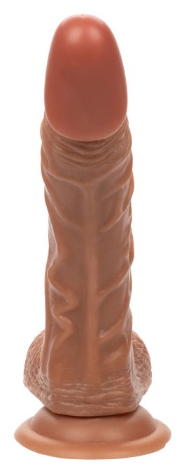 Gode The Personal Trainer 19.5 x 4cm Marron