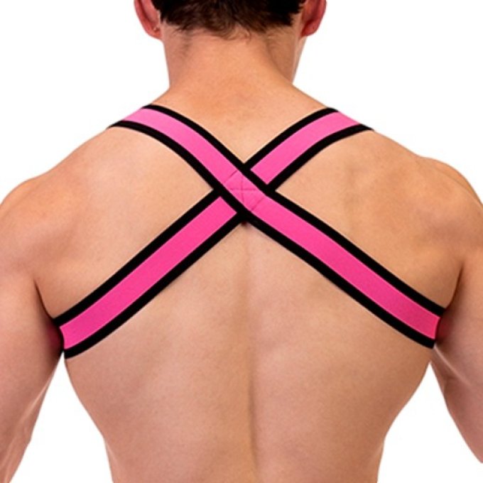 Harnais élastique Colin 