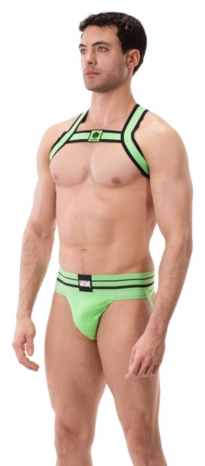 Harnais élastique Colin Vert