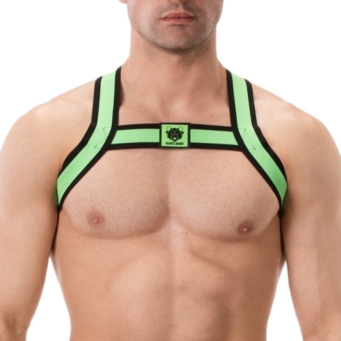 Harnais élastique Colin Vert