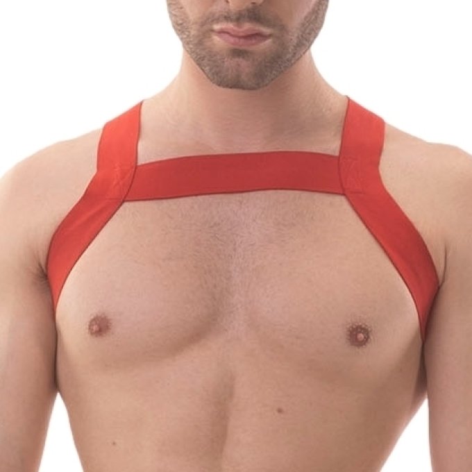 Harnais élastique Matt Pop Rouge