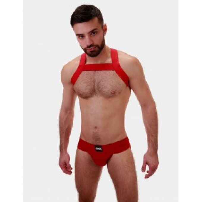 Harnais élastique Matt