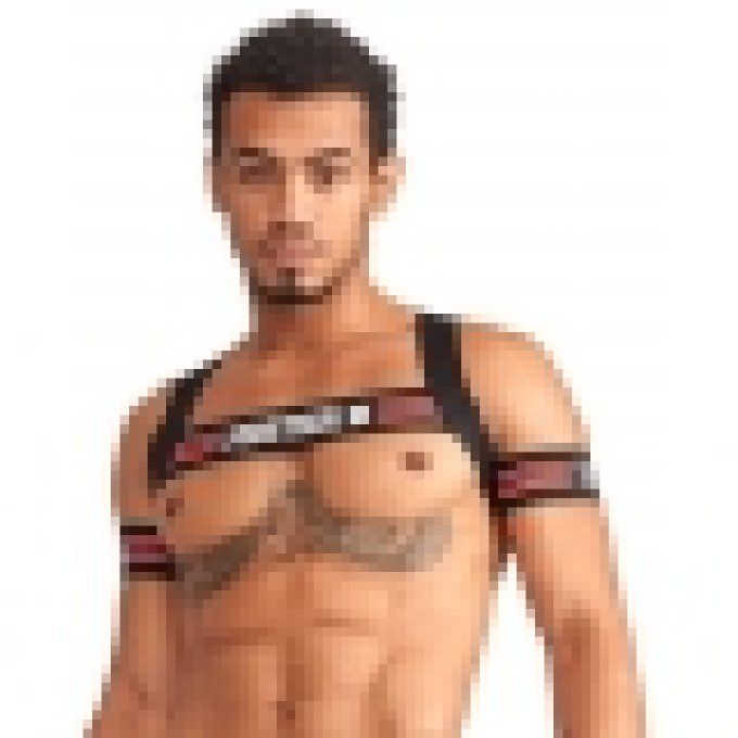 Harnais élastique X-Back 