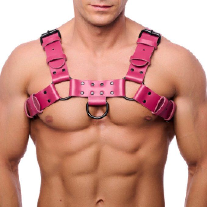 Harnais en cuir Bulldog 
