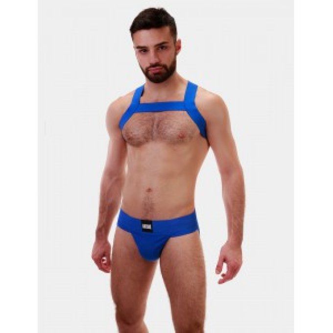 Harnais élastique Matt