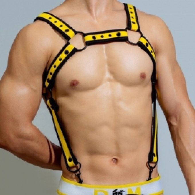 Harnais en néoprène Neo Chest 