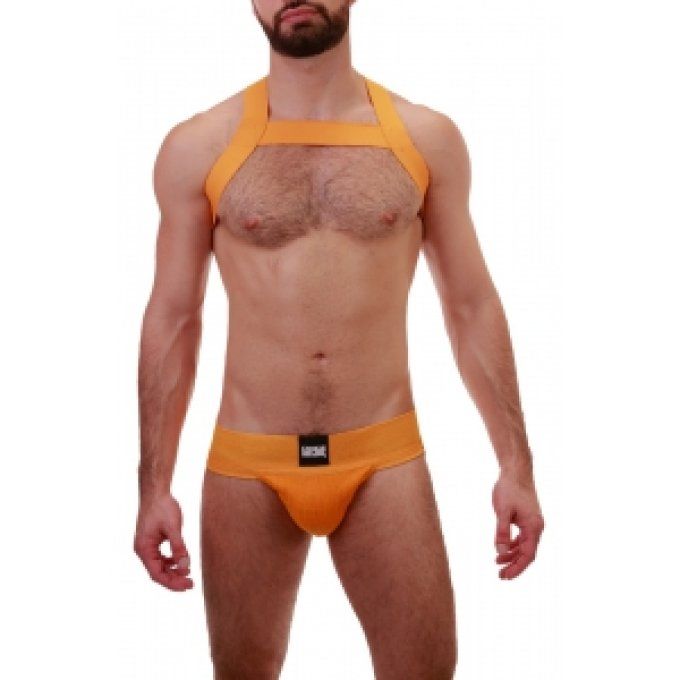 Harnais élastique Matt