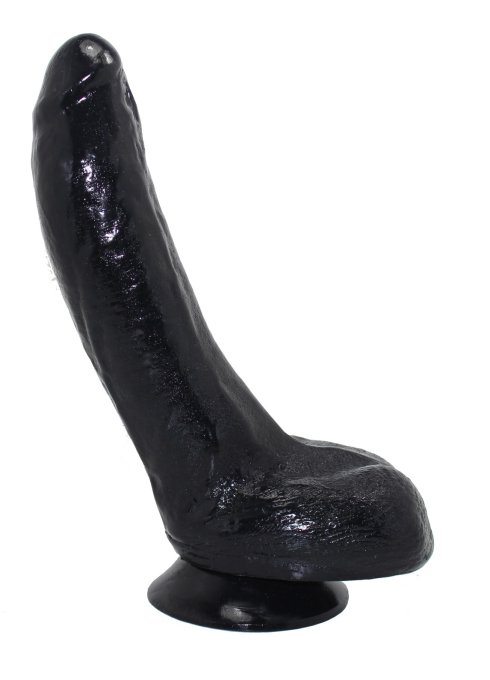 HELMUT 23 x 6.5 cm