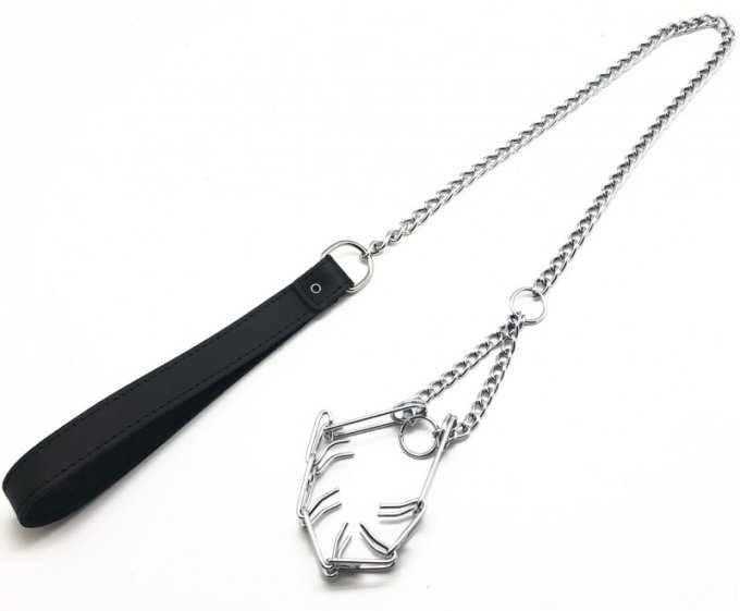 Laisse avec collier étrangleur pour pénis