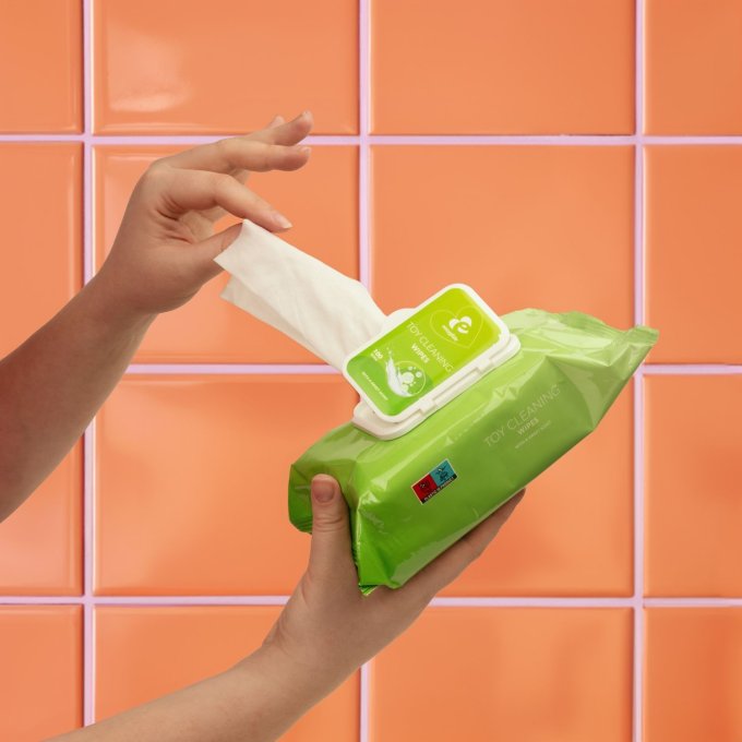 Lingettes nettoyantes Toy Cleaning x100