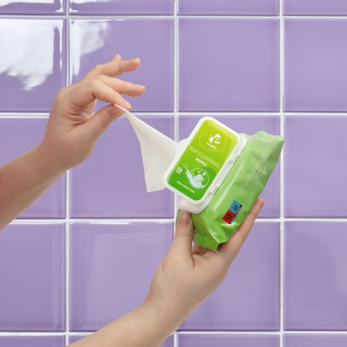 Lingettes nettoyantes Toy Cleaning x25