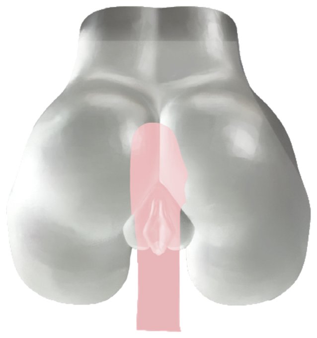 Masturbateur Fessier Fucking Pussy Transparent
