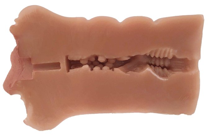 Masturbateur pussy The sorority girl