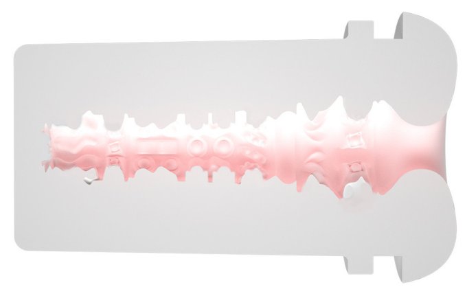 Masturbateur Wall-y Vibrations et Succions