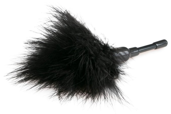 Mini Plumeau Erotickler 18.5cm Noir