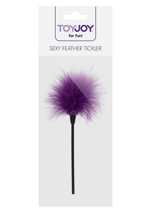 Mini Plumeau Sexy Feather 22cm Violet
