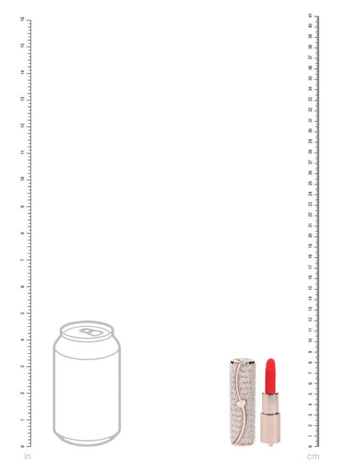 Mini Vibro + 4 embouts Candy Rose