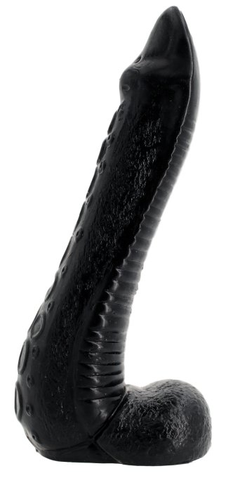 NAUTILA 19 x 5.8 cm
