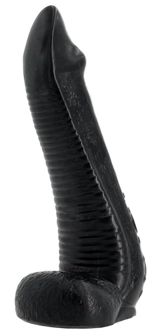 NAUTILA 19 x 5.8 cm