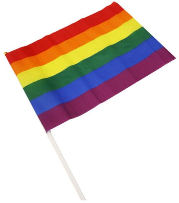 Drapeau Rainbow avec manche 20 x 28cm