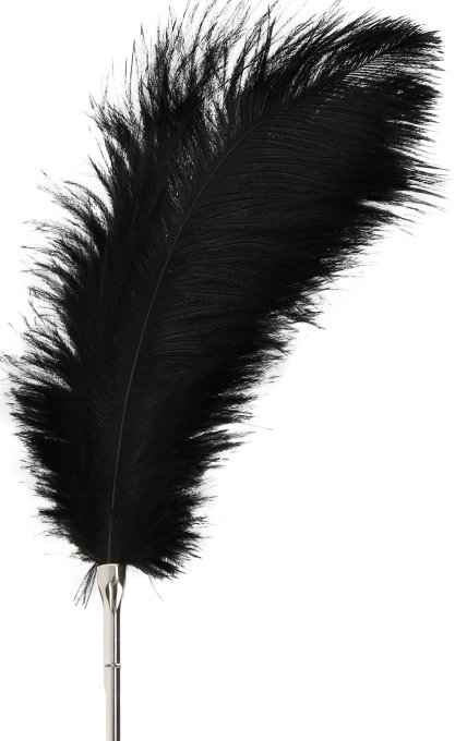 Plumeau Tickler Taboom 35cm
