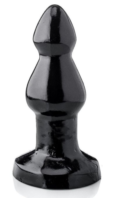 STEGOCEROS 22 x 8.5 cm