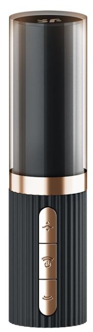 Stimulateur de Clitoris Pro 2 Kiss